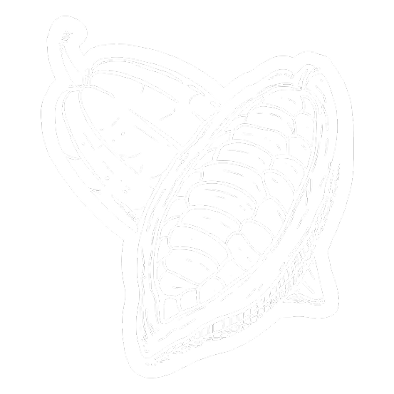 Cacao pod tasting note
