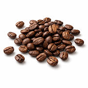 Lo & Behold coffee bag and cup